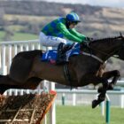 Appreciate It Supreme Novices Hurdle Cheltenham 2020